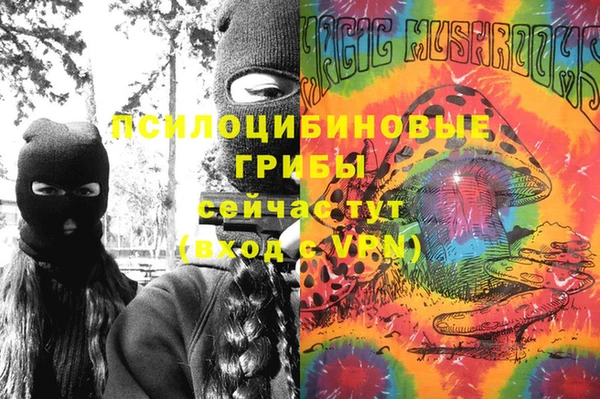 шишки Белоозёрский