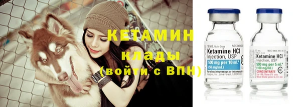 шишки Белоозёрский