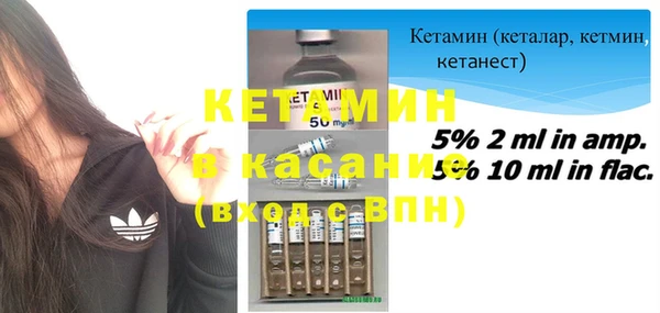 трава Белокуриха