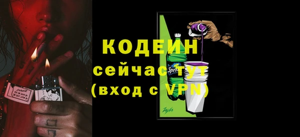 трава Белокуриха