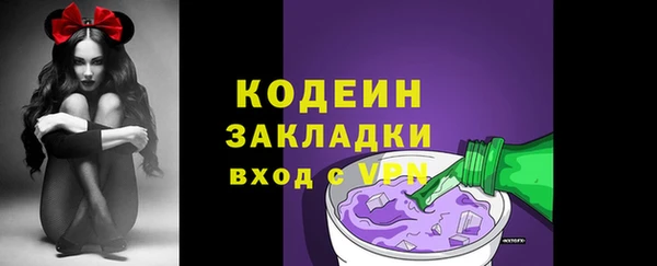 трава Белокуриха