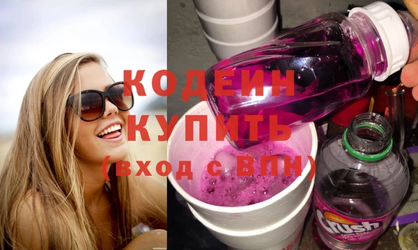 трава Белокуриха
