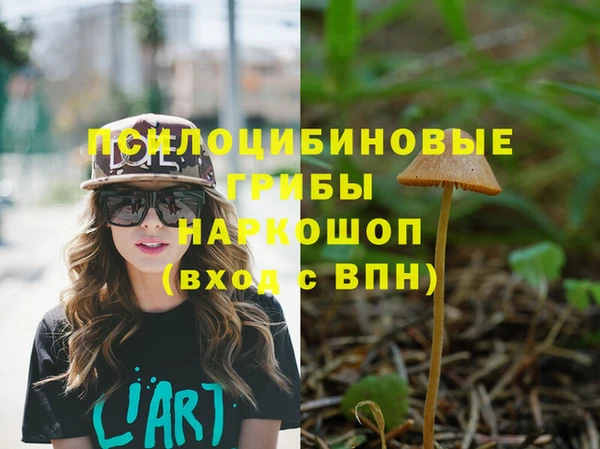 jwh Беломорск