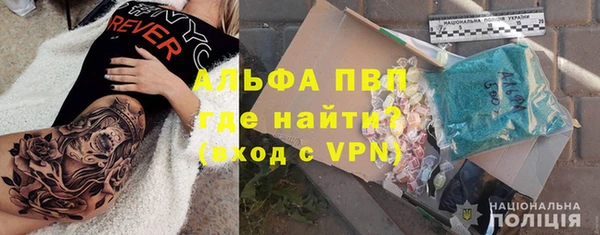 трава Белокуриха