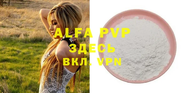 трава Белокуриха