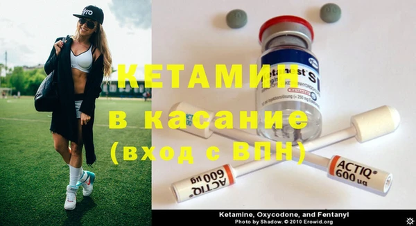 шишки Белоозёрский