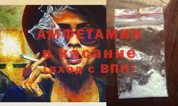 шишки Белоозёрский