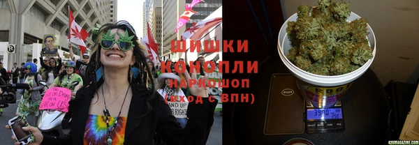 трава Белокуриха