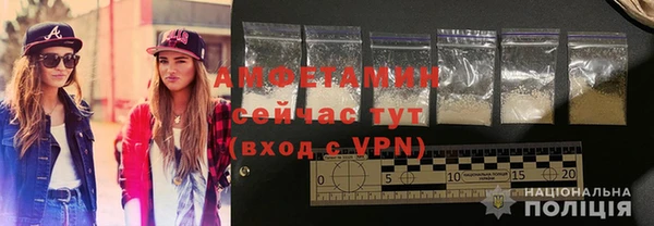 шишки Белоозёрский