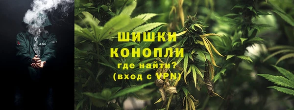 шишки Белоозёрский